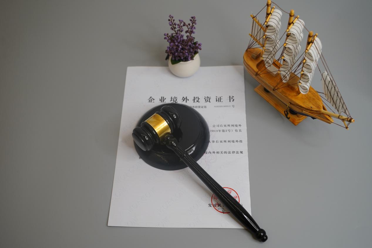 ODI境外投资备案